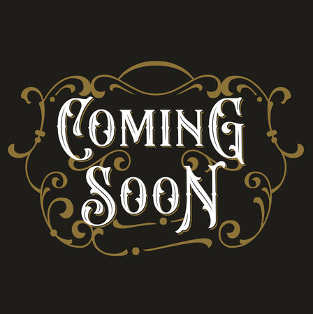 Swordfarer: A Youxia's Tale: Inspired by Chinese wuxia fiction, you are a youxia (wandering hero) roaming the dangerous and deadly jianghu (pugilistic world). With sword in hand, what bonds and regrets will you build on your lonely journey?